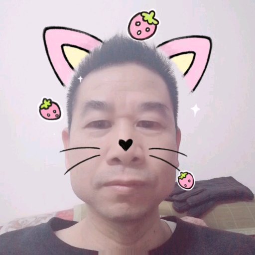 qinzj