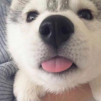小满
